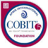 Foundation COBIT
